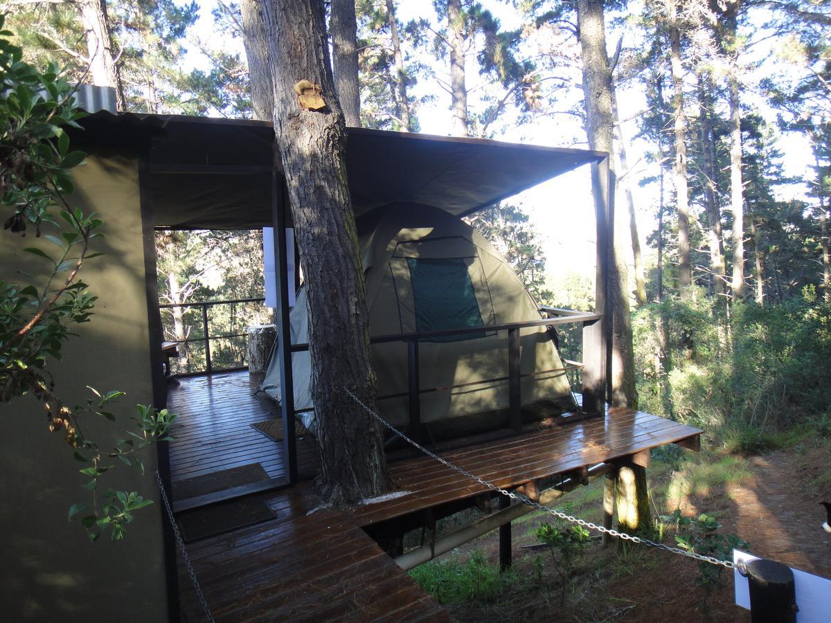 Eagles' Call Cottages And Tent Wilderness Exterior photo