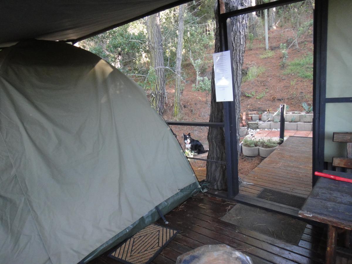 Eagles' Call Cottages And Tent Wilderness Exterior photo